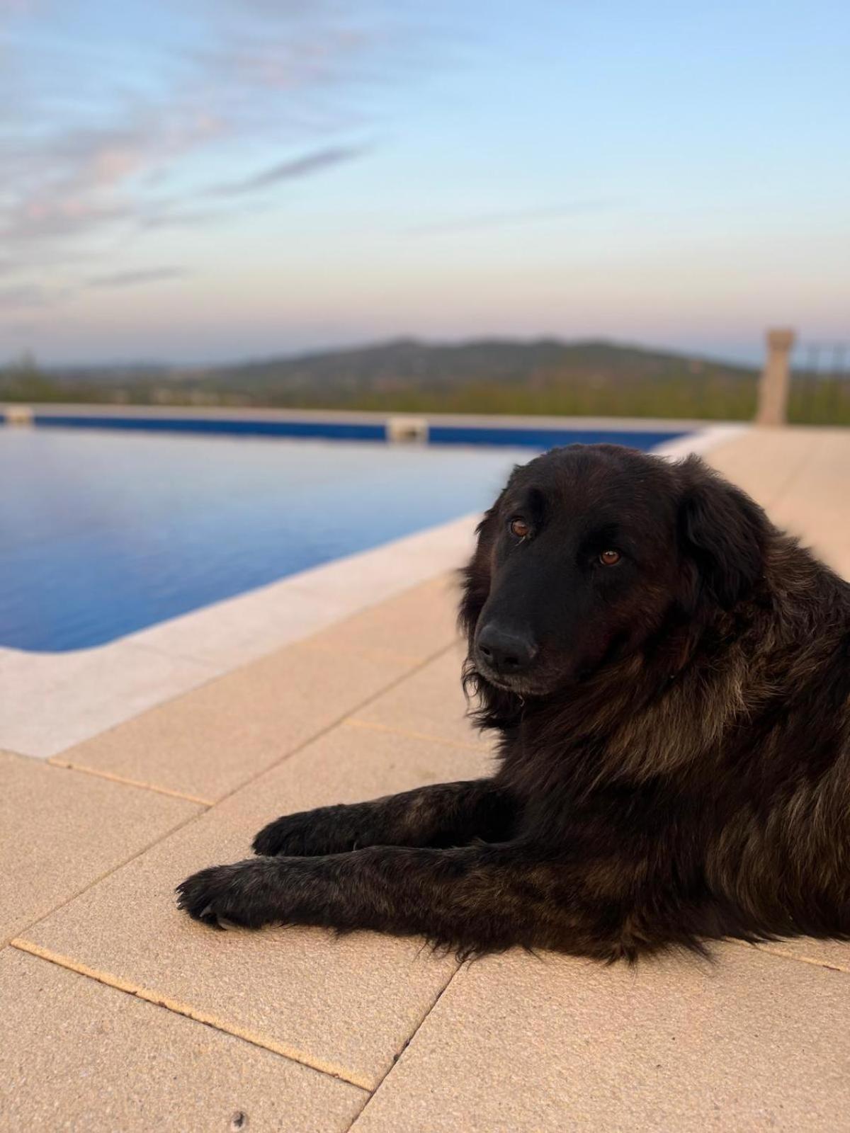 Tranca Da Barriga - Casa Do Vinho By Quinta De Sao Tiago Villa Covilhã Kültér fotó